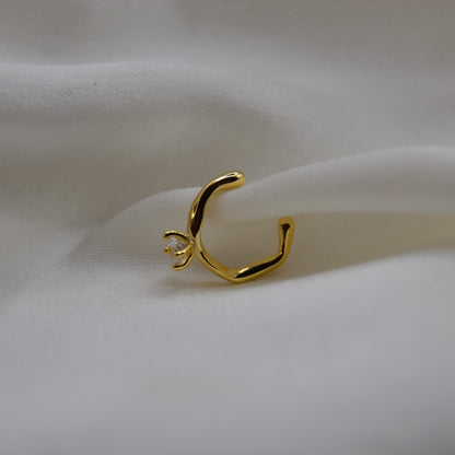 CROWN